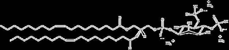 Phosphatidylinositol 4,5-bisphosphate Compound 7 HIV1 Nef membrane association depends on charge