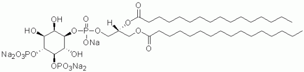 Phosphatidylinositol 4,5-bisphosphate Product Details for Phosphatidylinositol 45bisphosphate diC16 PI