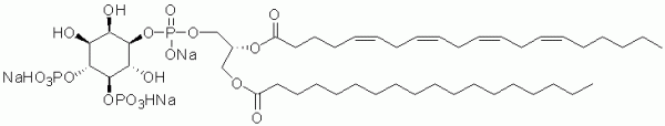 Phosphatidylinositol 4,5-bisphosphate Product Details for DmyoPhosphatidylinositol 45bisphosphate 180