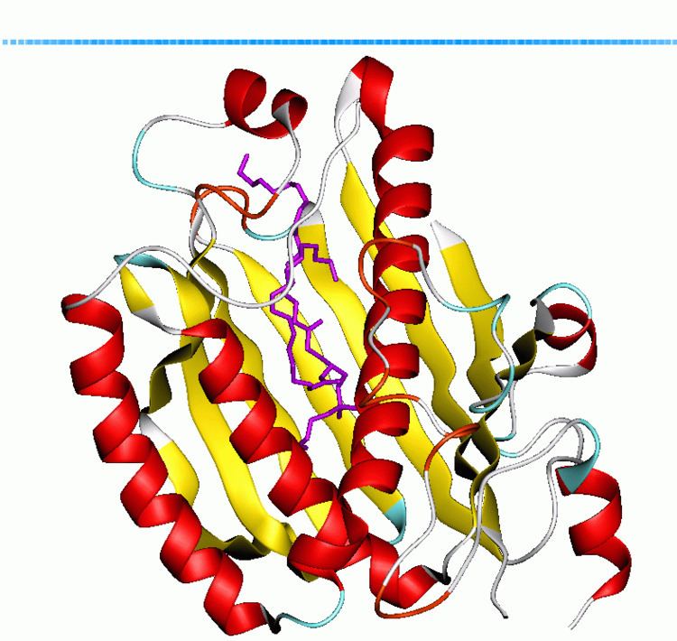 Phosphatidylinositol transfer protein