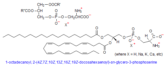 Phosphatidylserine Phosphatidylserine AOCS Lipid Library