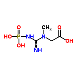 Phosphocreatine Phosphocreatine C4H10N3O5P ChemSpider