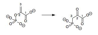 Phosphoenolpyruvate mutase