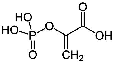Phosphoenolpyruvic acid FilePhosphoenolpyruvic acid Structural Formulae V1svg Wikimedia