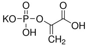 Phosphoenolpyruvic acid Phosphoenolpyruvic acid monopotassium salt 97 enzymatic