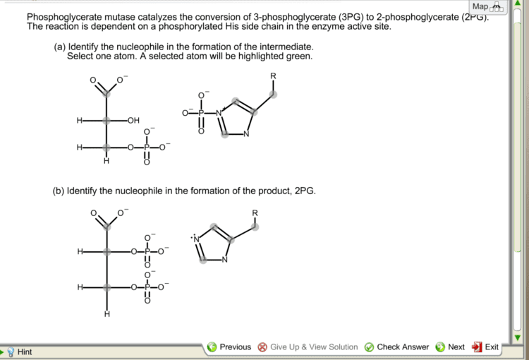 Phosphoglycerate mutase Phosphoglycerate Mutase Catalyzes The Conversion O Cheggcom