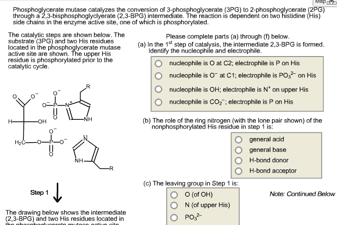 Phosphoglycerate mutase Phosphoglycerate Mutase Catalyzes The Conversion O Cheggcom