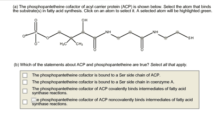 Phosphopantetheine The Phosphopantetheine Cofactor Of Acyl Carrier Pr Cheggcom
