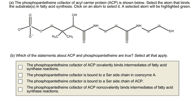 Phosphopantetheine The Phosphopantetheine Cofactor Of Acyl Carrier Pr Cheggcom