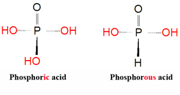 Phosphorous acid Phosphoric acid encyclopedia article Citizendium