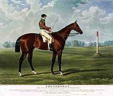 Phosphorus (horse) httpsuploadwikimediaorgwikipediacommonsthu
