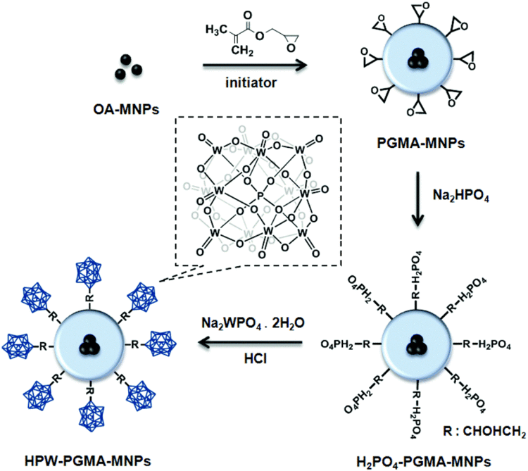 Phosphotungstic acid Phosphotungstic acidfunctionalized magnetic nanoparticles as an