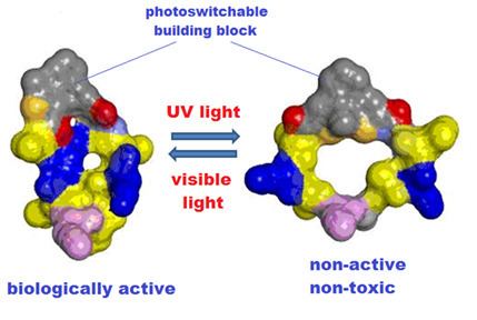 Photoactivated peptide