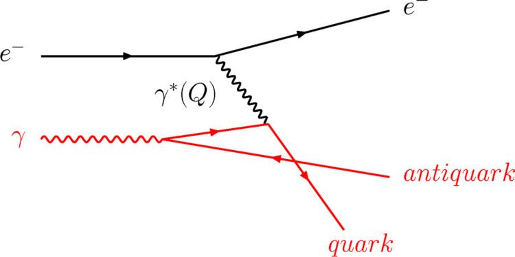 Photon structure function