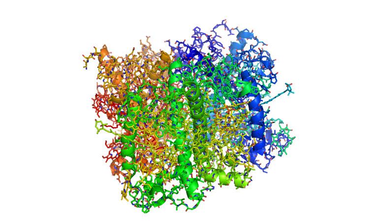Photosystem II light-harvesting protein