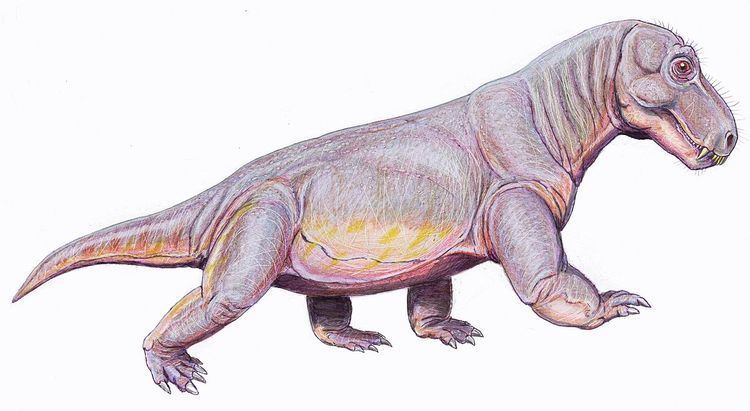 Phreatosaurus