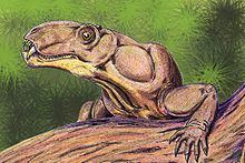 Phthinosuchus httpsuploadwikimediaorgwikipediacommonsthu