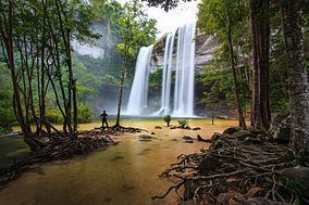 Phu Chong–Na Yoi National Park httpsuploadwikimediaorgwikipediacommonsthu