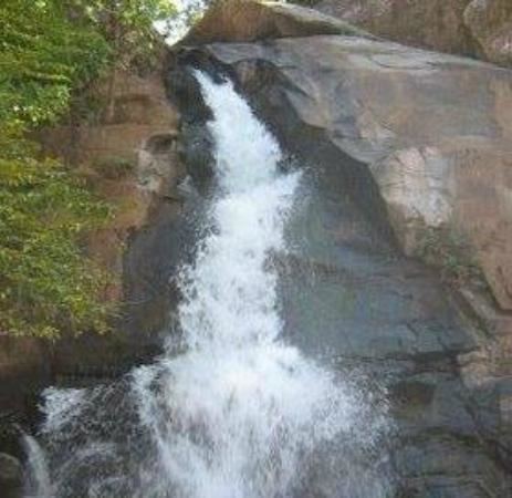 Phurlijharan Phurli Jharan Falls Bhawanipatna Top Tips Before You Go