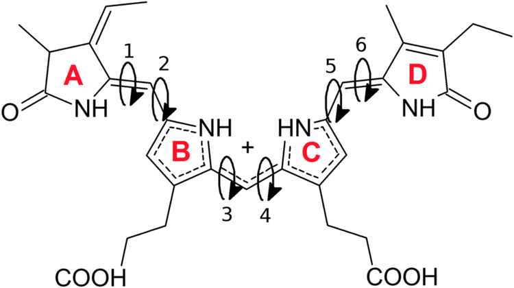 Phycocyanobilin Phycocyanobilin in solution a solvent triggered molecular switch