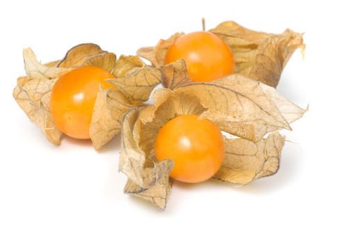 Physalis cleverstorage Physalis39 long journey