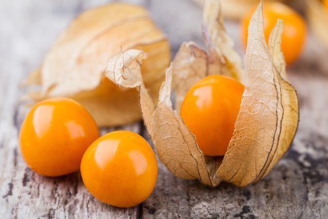 Physalis Physalis 16 fruits you39ve probably never heard of MNN Mother