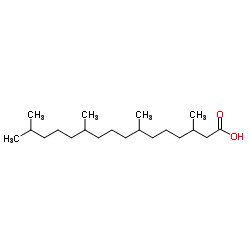 Phytanic acid 3D7D11DPhytanic acid C20H40O2 ChemSpider