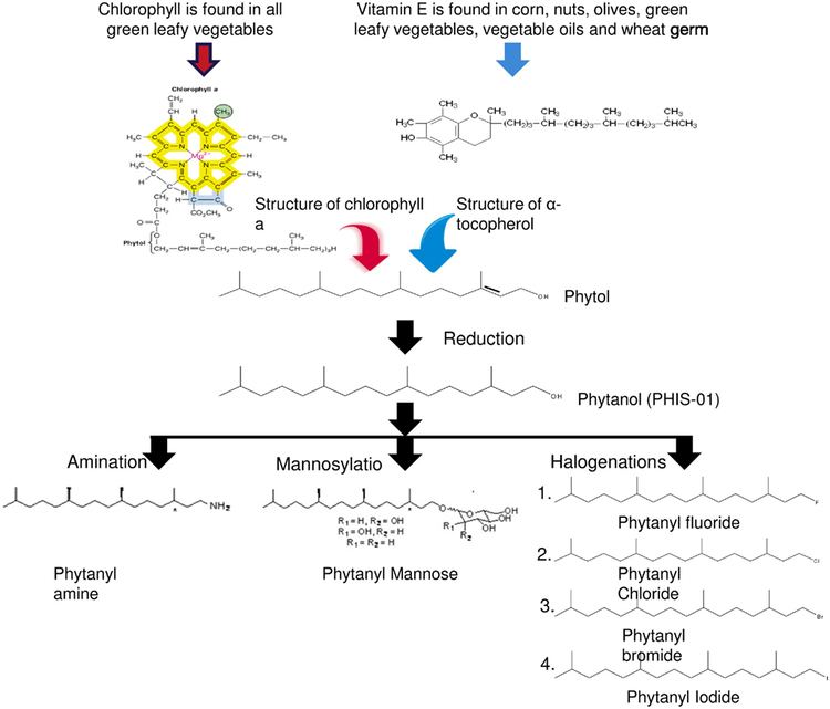 Phytol Frontiers PhytolDerived Novel Isoprenoid Immunostimulants
