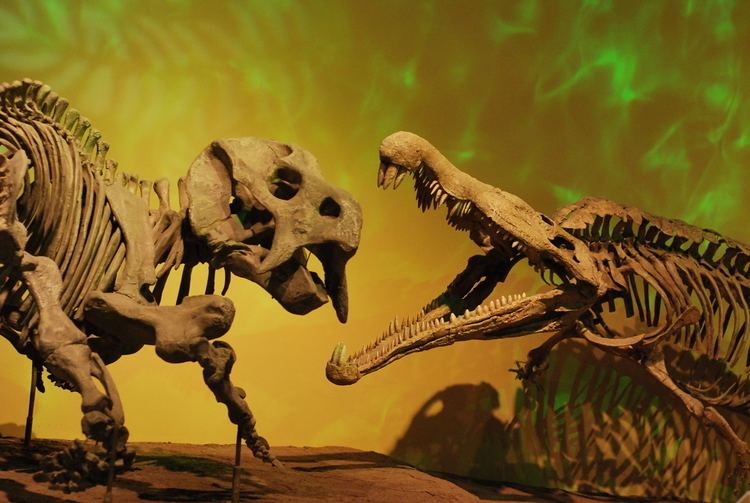 Phytosaur The Last Phytosaur Phenomena