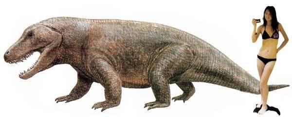 Phytosaurus biggameizayoinetphytosaurusErythrosuchusjpg