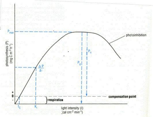 PI curve