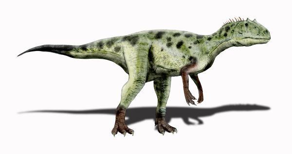 Piatnitzkysaurus httpsuploadwikimediaorgwikipediacommons99