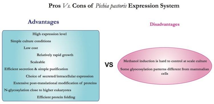 Pichia pastoris Recombinant protein expression in Pichia pastoris