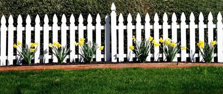 Picket fence 26 White Picket Fence Ideas and Designs