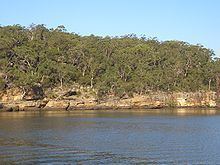 Picnic Point, New South Wales httpsuploadwikimediaorgwikipediacommonsthu