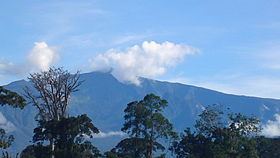 Pico Basilé httpsuploadwikimediaorgwikipediacommonsthu