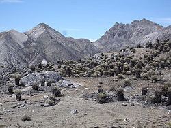Pico Piedras Blancas httpsuploadwikimediaorgwikipediacommonsthu