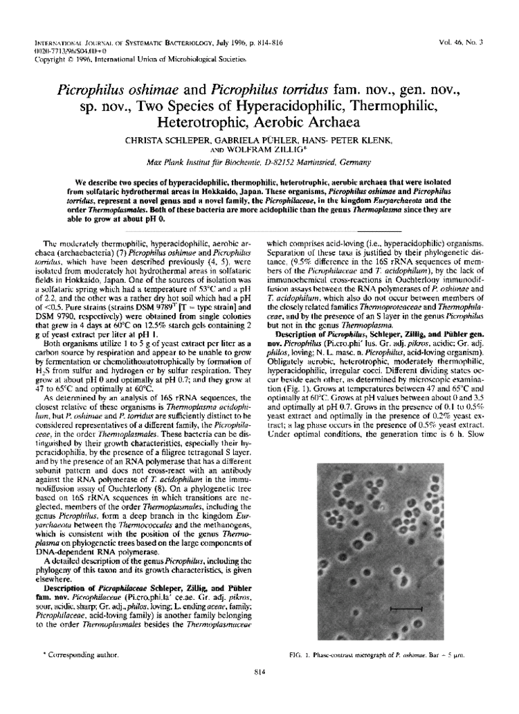 Picrophilus oshimae ijsmicrobiologyresearchorgdocserverpreviewful