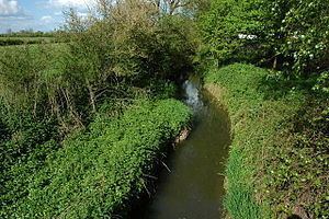 Piddle Brook httpsuploadwikimediaorgwikipediacommonsthu