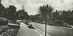 Piedmont Avenue (Berkeley) httpsuploadwikimediaorgwikipediacommonsthu
