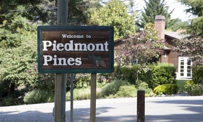 Piedmont Pines, Oakland, California wwwredoakrealtycomeastbaycaneighborhoodsima