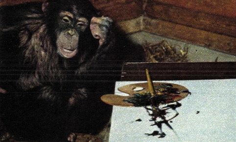 Pierre Brassau Pierre Brassau pintor y mono La piedra de Ssifo