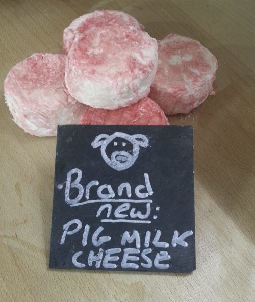 Pig milk Pigs milk cheese developed by local firms