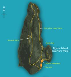 Pigeon Island (New Zealand) httpsuploadwikimediaorgwikipediacommonsthu
