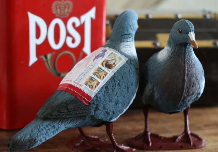 Pigeon post Pigeon Post Kit Letter Writers Alliance