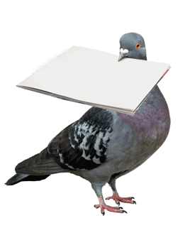 Pigeon post wwwkatjamaasdesigncomimagesTekservepigeonpostgif