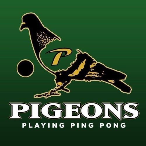 Pigeons Playing Ping Pong Pigeons Playing Ping Pong Cactus Records