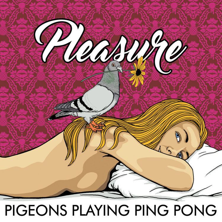 Pigeons Playing Ping Pong Pleasure Pigeons Playing Ping Pong