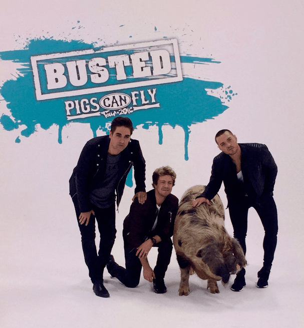 Pigs Can Fly Tour 2016 Busted announce Pigs can Fly tour The Version