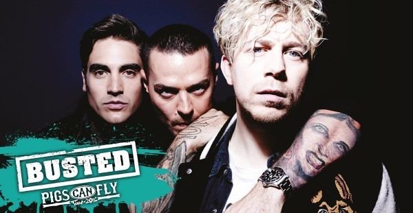 Pigs Can Fly Tour 2016 Busted prove Pigs Can Fly kinda with upcoming arena tour tmBlog